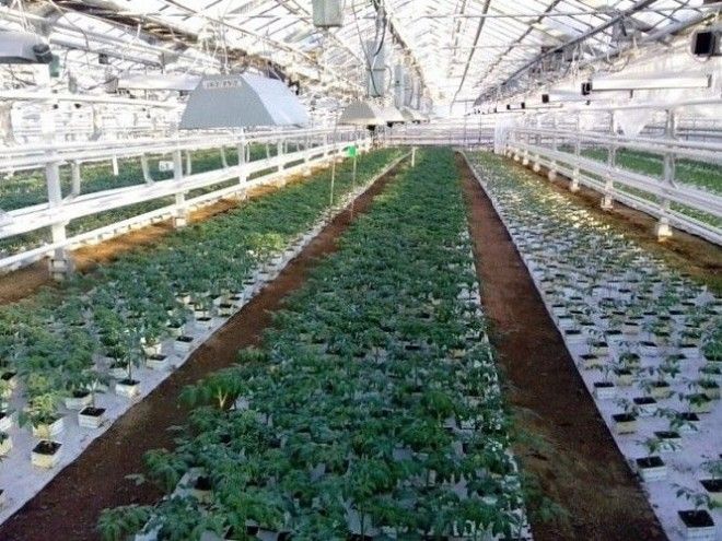 Взгляд изнутри когда вся суть профессии раскрывается в одной фотографии