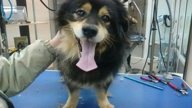 Взгляд изнутри когда вся суть профессии раскрывается в одной фотографии