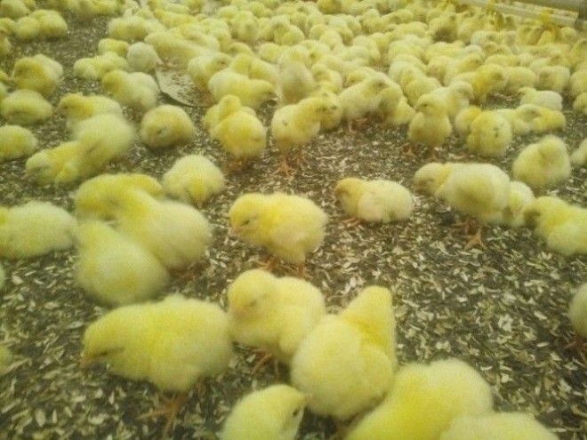 Взгляд изнутри когда вся суть профессии раскрывается в одной фотографии