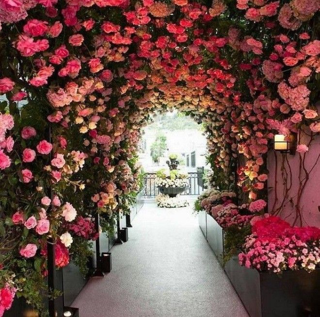 Цветочный тоннель Беверли Хиллз Калифорния США