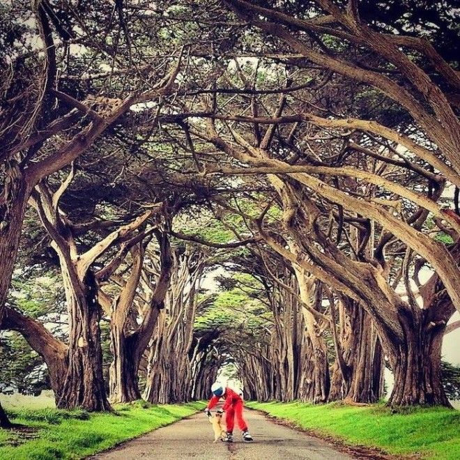 Прогулка по тоннелю в Калифорнии США