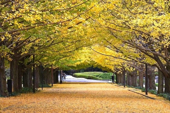 Красота осеннего пейзажа