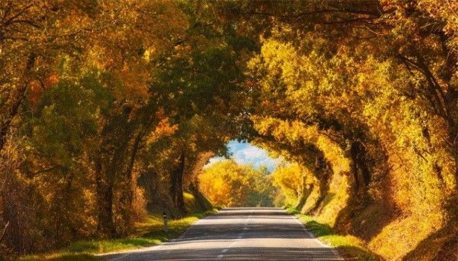 Золотая осень