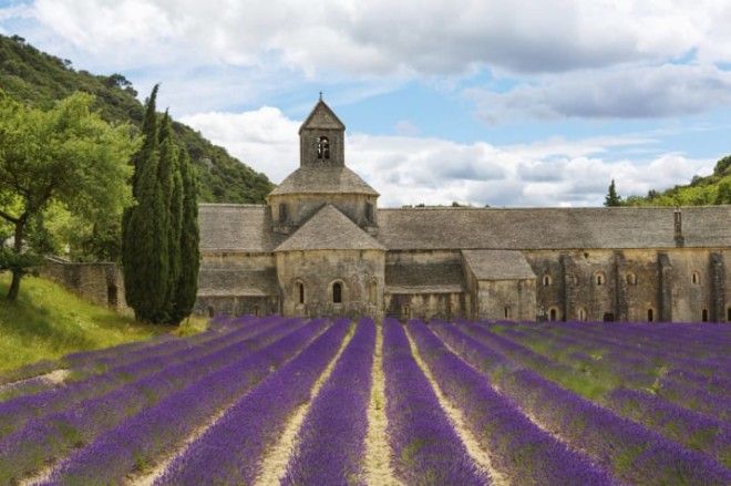 42 убедительные причины никогда не посещать Францию