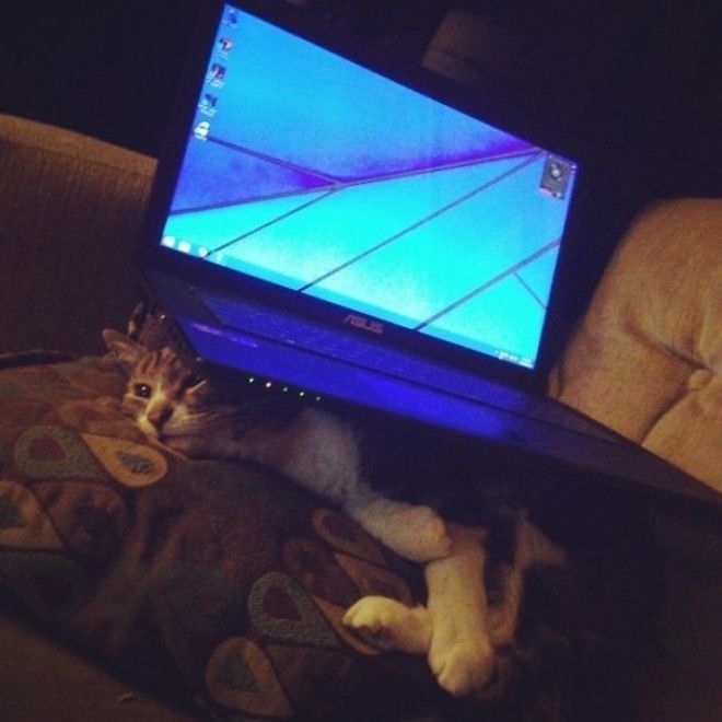 Закон бумеранга в действии