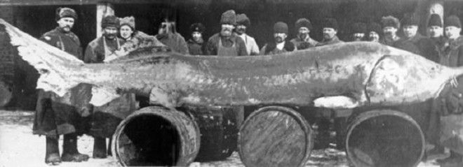 Интересные факты о Каспийском море