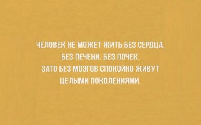 20 забавных открыток для интеллектуалов