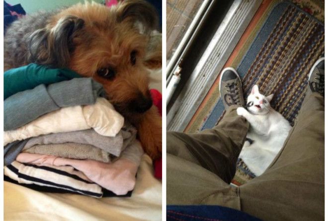 Сооовсем не хотят отпускать :-)