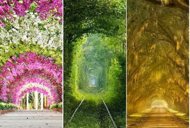 Сказочная красота