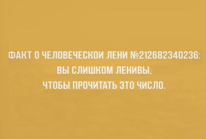 Обо всем понемножку